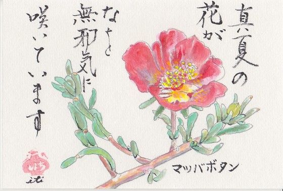 イメージ 31