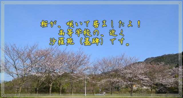 イメージ 10