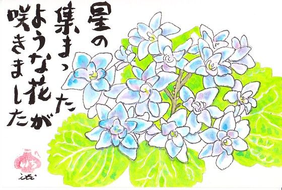 イメージ 6