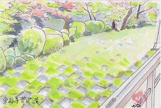イメージ 7