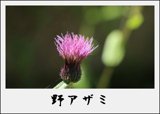 kako-z5FPfrPWzxsb0spu