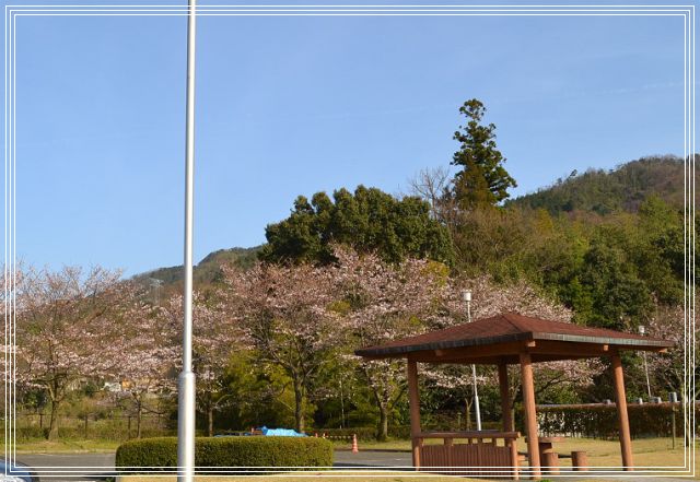 イメージ 9