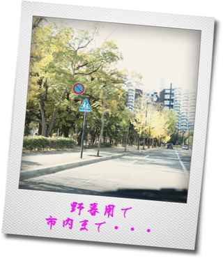 kako-hW4XS4q7d6d97T1v