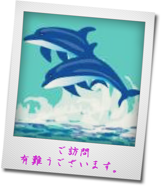 イメージ 8