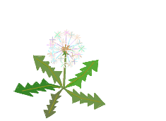 イメージ 12