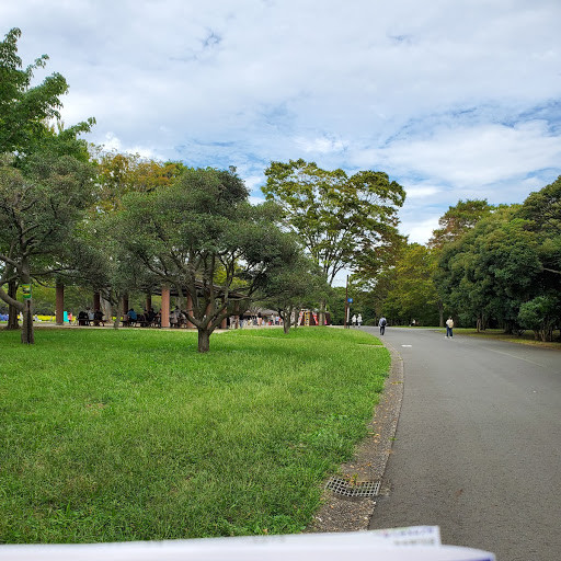 公園1