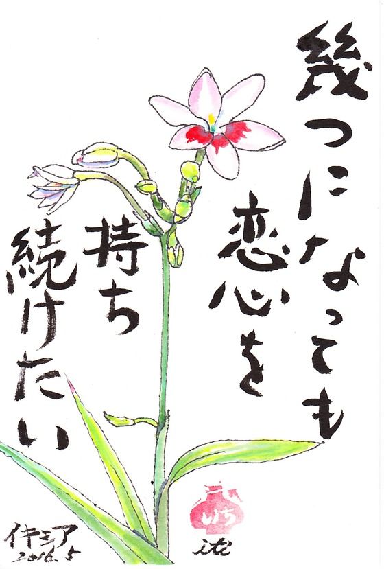 イメージ 9