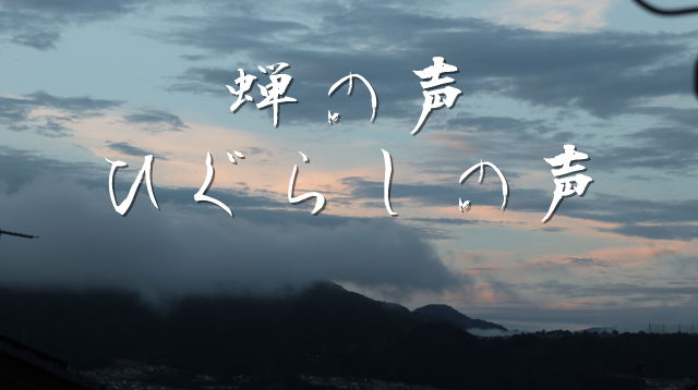 kako-71Hor3H7lDznrnsc