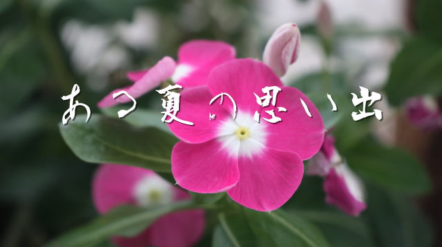 kako-UA03JwwLYtCZziuz