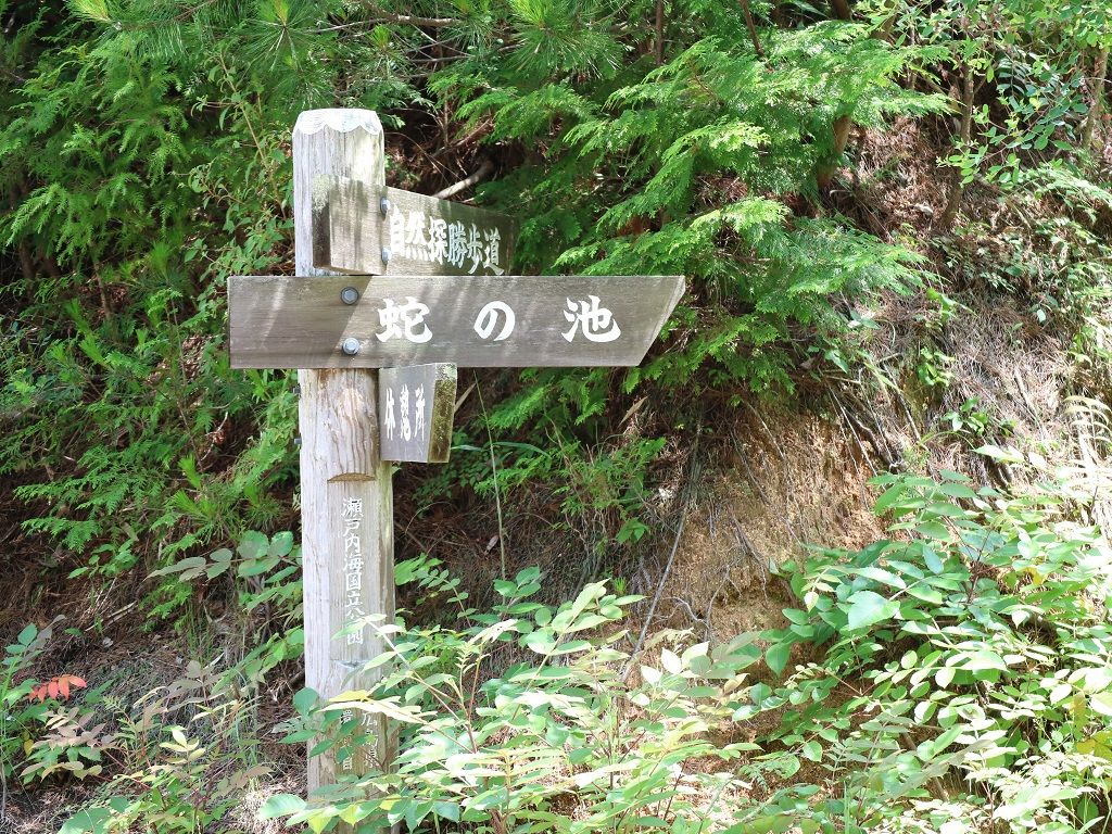 イメージ 10