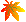 ショウ紅葉