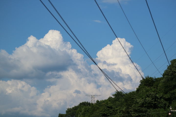 イメージ 4