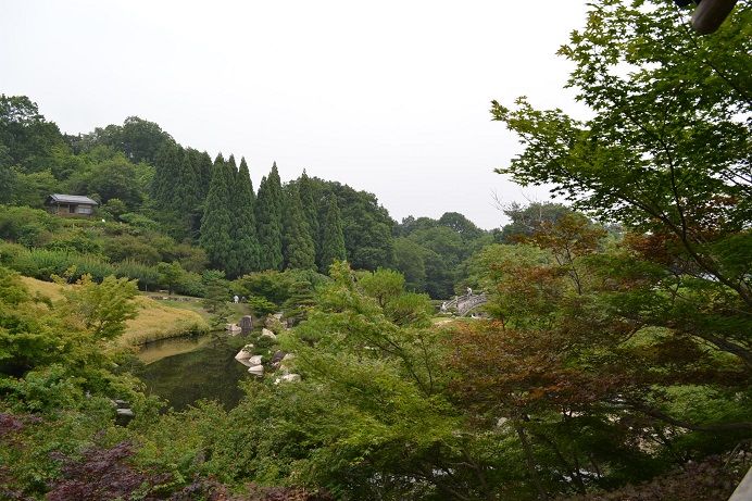 イメージ 9
