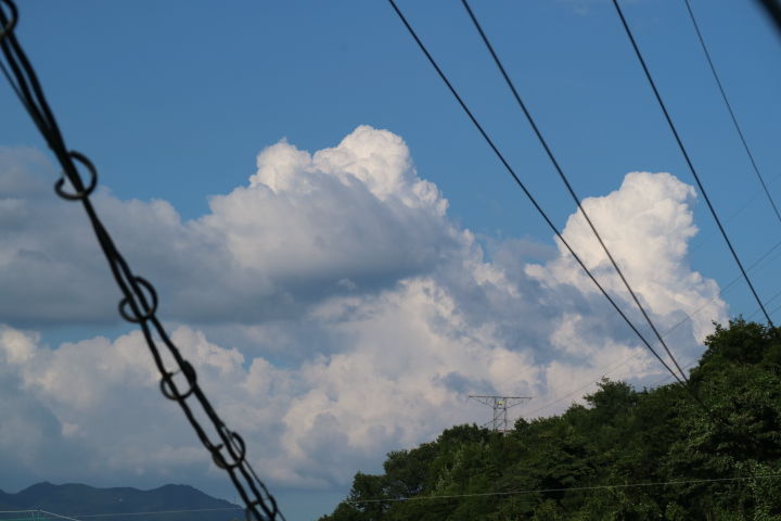 イメージ 5