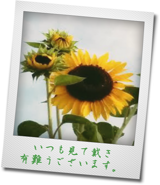 イメージ 9