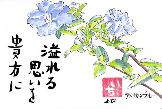 イメージ 9