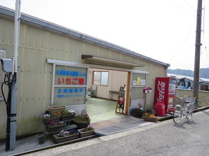 004957a3.jpg