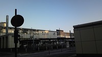 163b8817.jpg