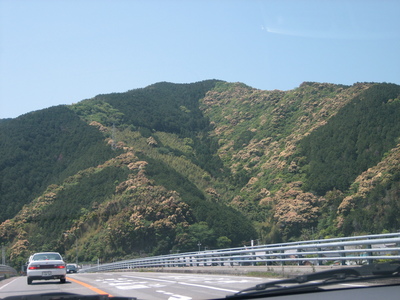 1a7ab46a.jpg