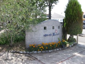 2416d110.jpg