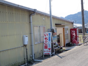 25d8a501.jpg