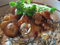 27219054.jpg