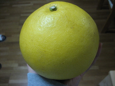 2fc637ff.jpg