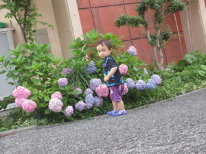 3662d893.jpg