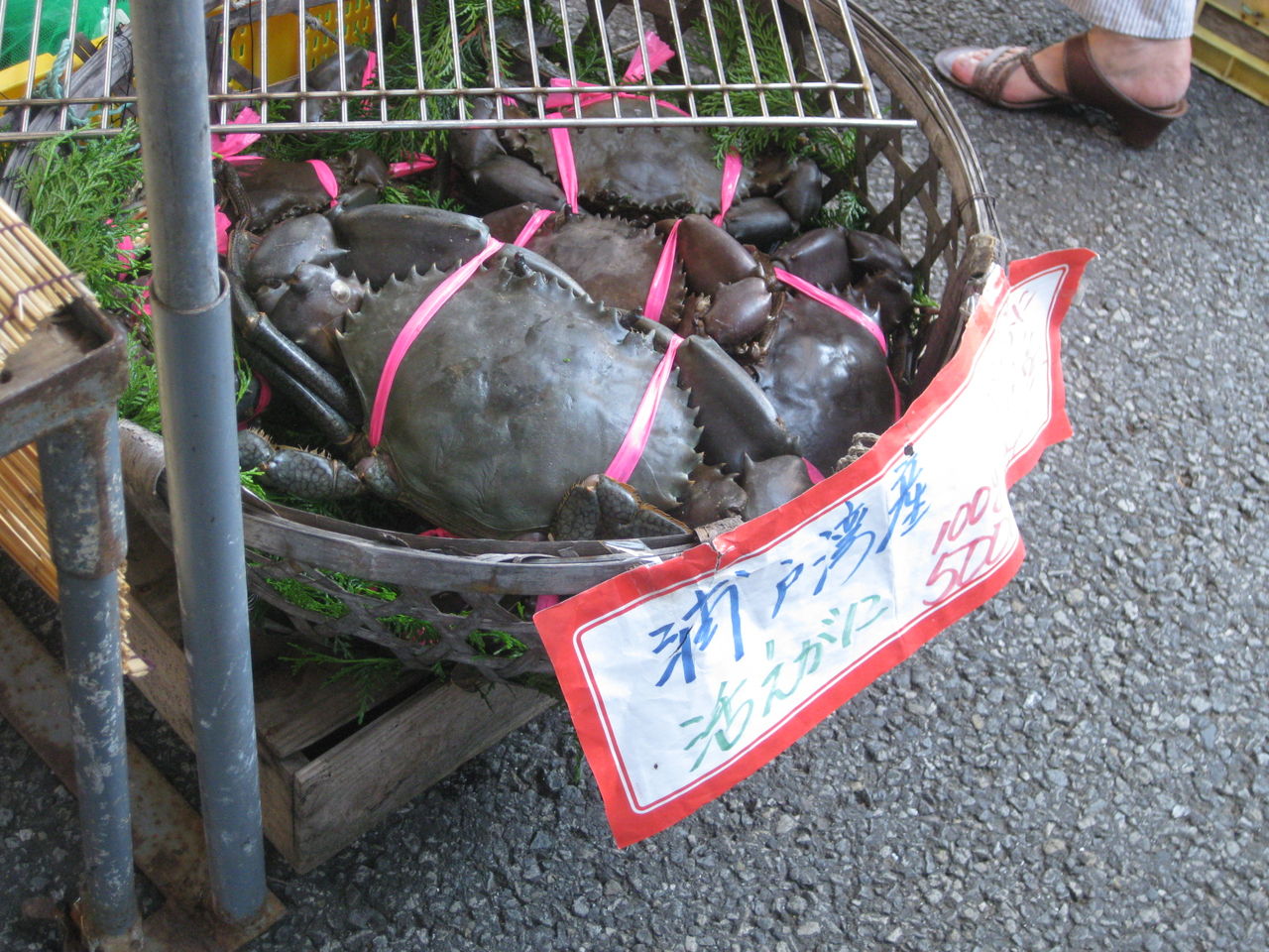 日曜市へgo Kayomiの食楽日記