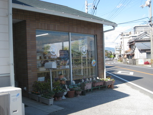 5e9ec24d.jpg