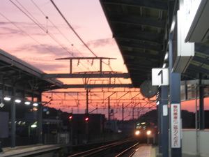 87c7384c.jpg