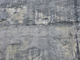 93d8c075.jpg
