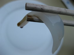 95f484c1.jpg