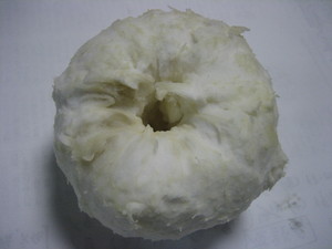 96c75255.jpg