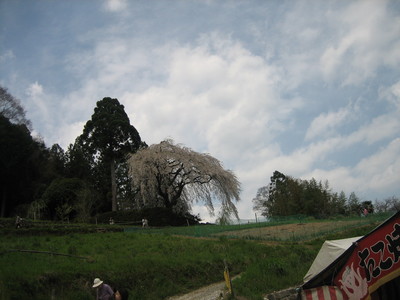 c3221ca6.jpg