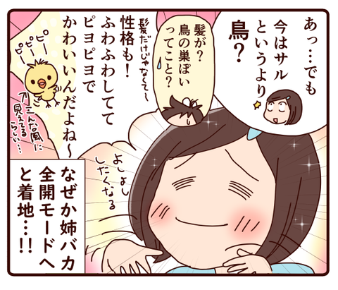 コメントから思わぬところに着地した話4