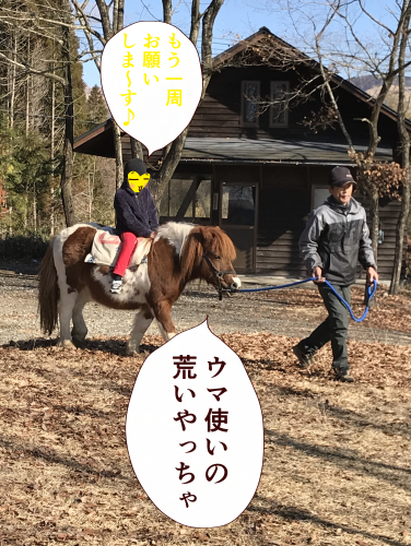 キャンプポニー