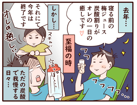 今年もこの時期がやってきた梅仕事.jpg3