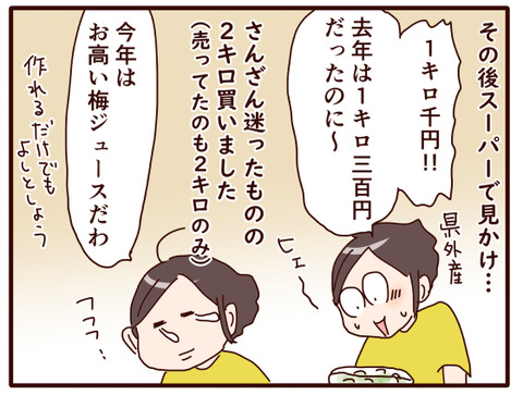この時期楽しみにしていたあれが②.jpg2