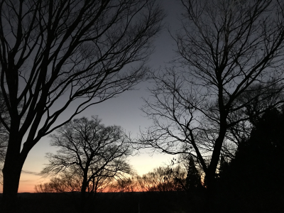 キャンプ夕焼け