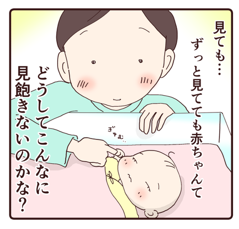 3双子見つめる4