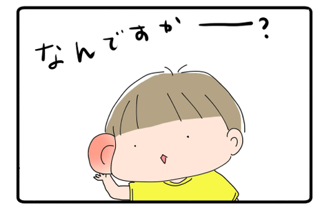Conobie蚊に刺されて腫れる耳
