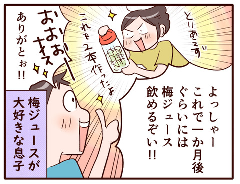 今年もこの時期がやってきた梅仕事.jpg2