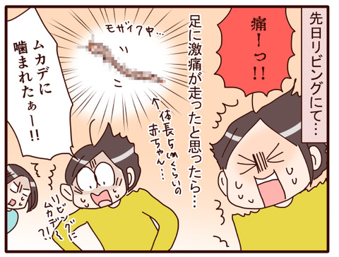 8ムカデ事件①.jpg1