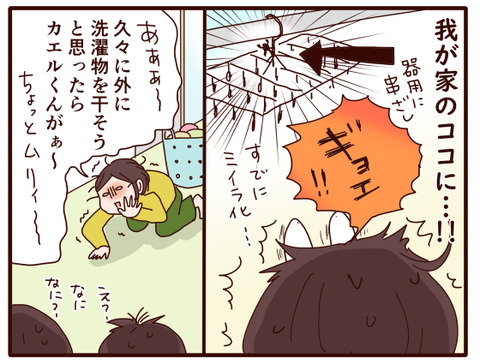 はやにえ①.jpg2