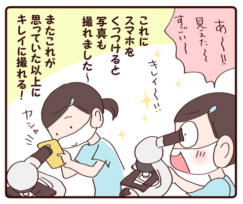 自由研究海編②2