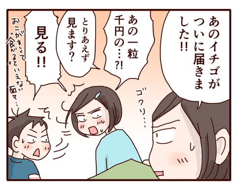 いちご①1