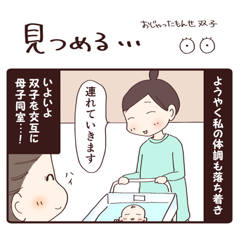 3双子見つめる1