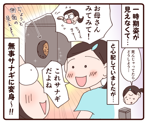 お世話を任せたものの4