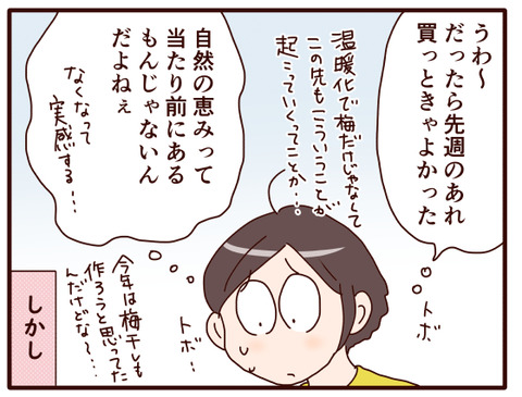 この時期楽しみにしていたあれが②.jpg1